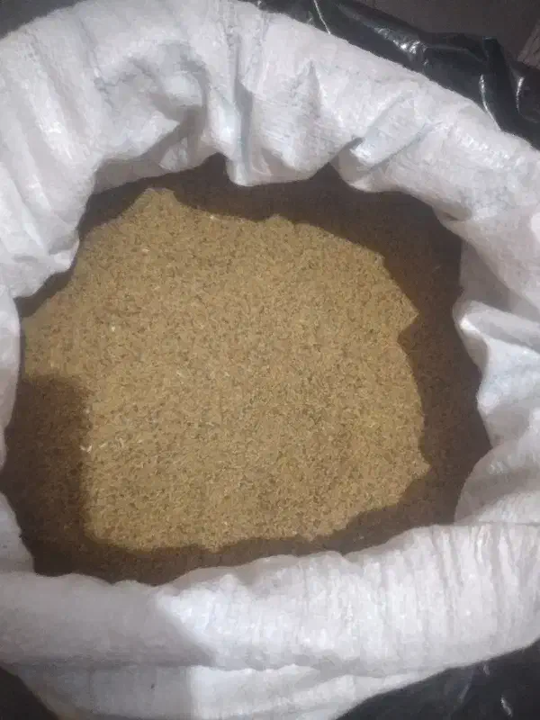 بذر یونجه|خدمات باغبانی و درختکاری|فیروزآباد (آذربایجان), |دیوار