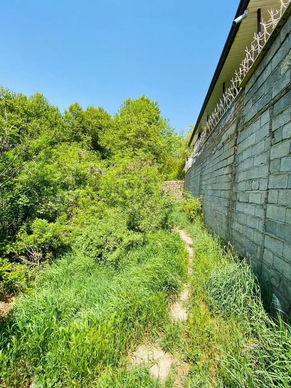 باغچه کوشک زر ....هشتگرد|فروش زمین و ملک کلنگی|هشتگرد, کوشک زر|دیوار