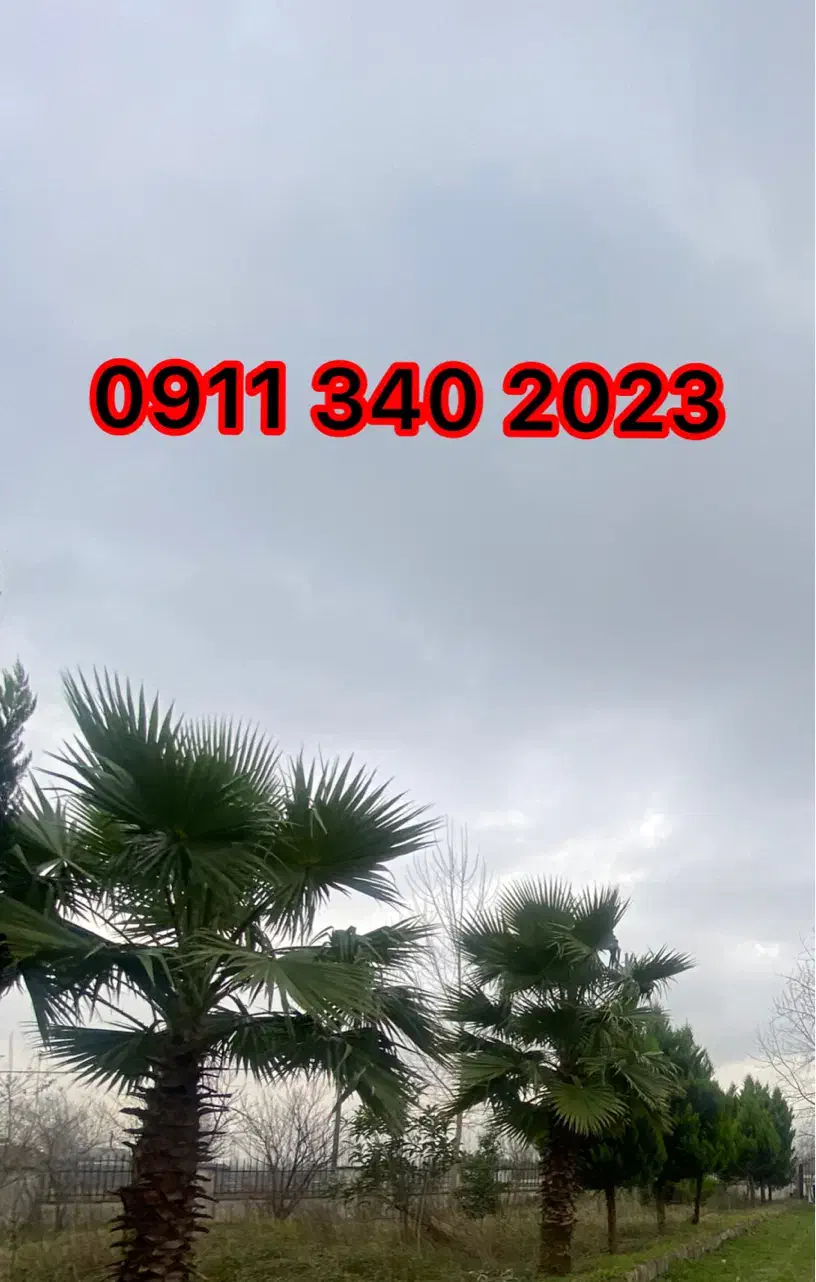 0911 340 2023|سیم‌کارت|رشت, گلسار|دیوار