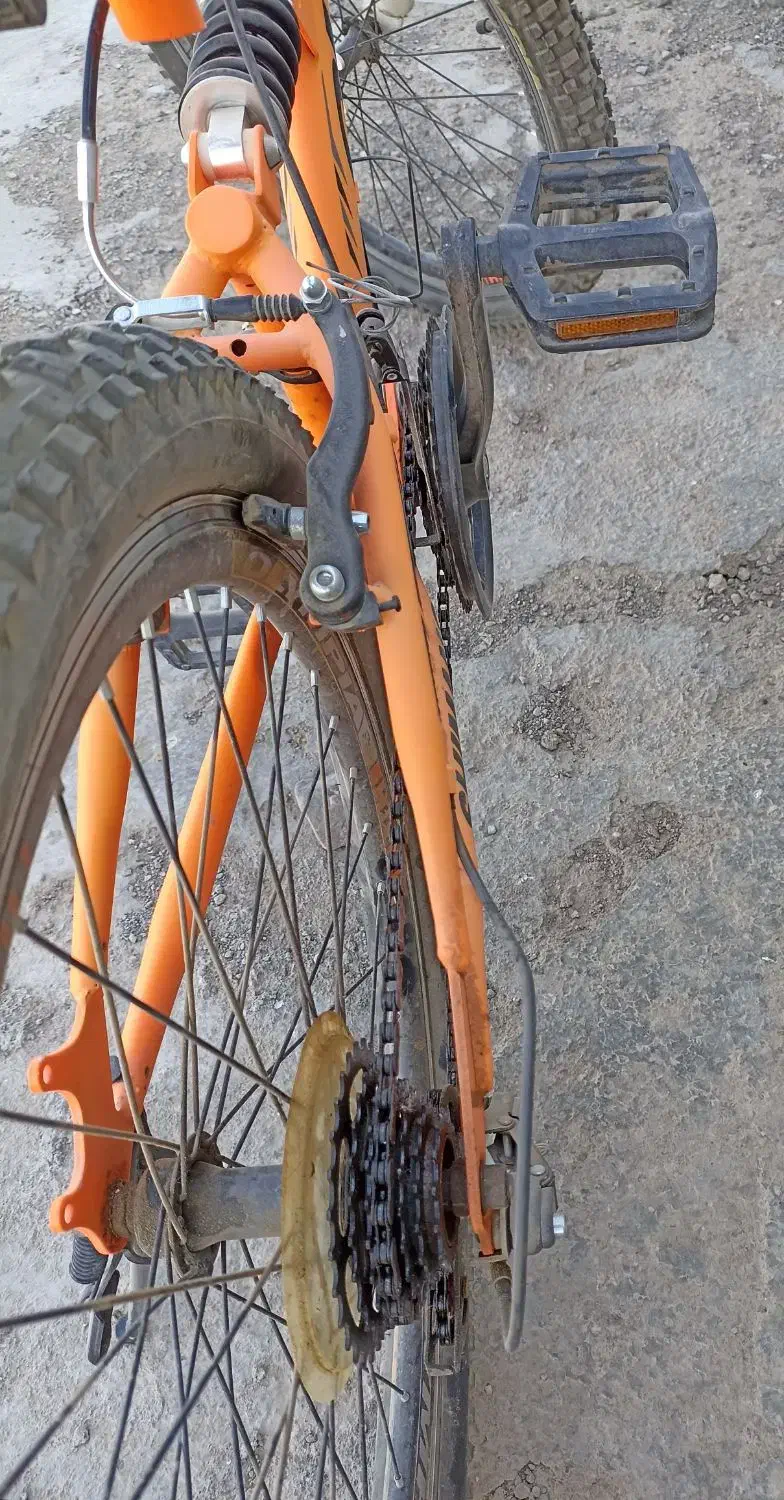 دوچرخه 24|دوچرخه، اسکیت، اسکوتر|مشهد, همت آباد|دیوار