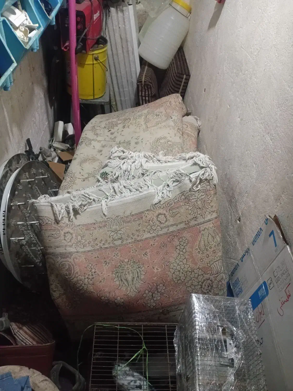 فرش ۱۲متری|فرش|ری, جوانمرد قصاب|دیوار