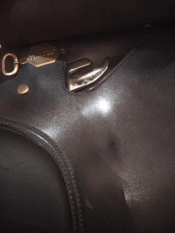 زین اسب انگلیسی|اسب و تجهیزات اسبسواری|تهران, جماران (نیاوران)|دیوار