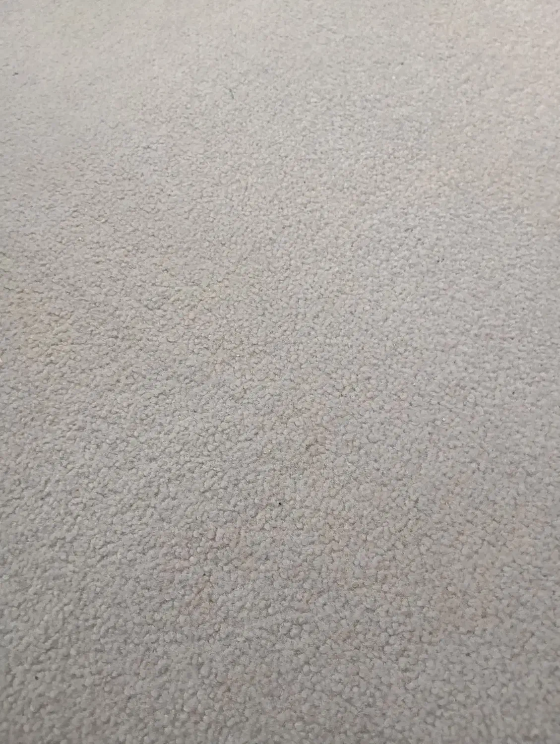 پالاز موکت رنگ طوسی|موکت|بروجرد, |دیوار