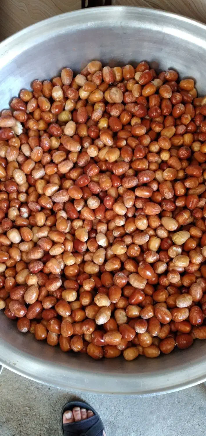 سنجد تازه شیرین|خوردنی و آشامیدنی|شاهین دژ, |دیوار