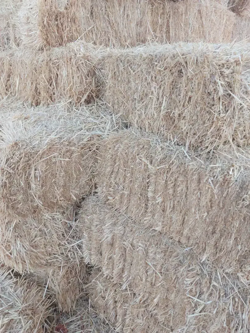 کاه گندم|حیوانات مزرعه|فرمهین, |دیوار