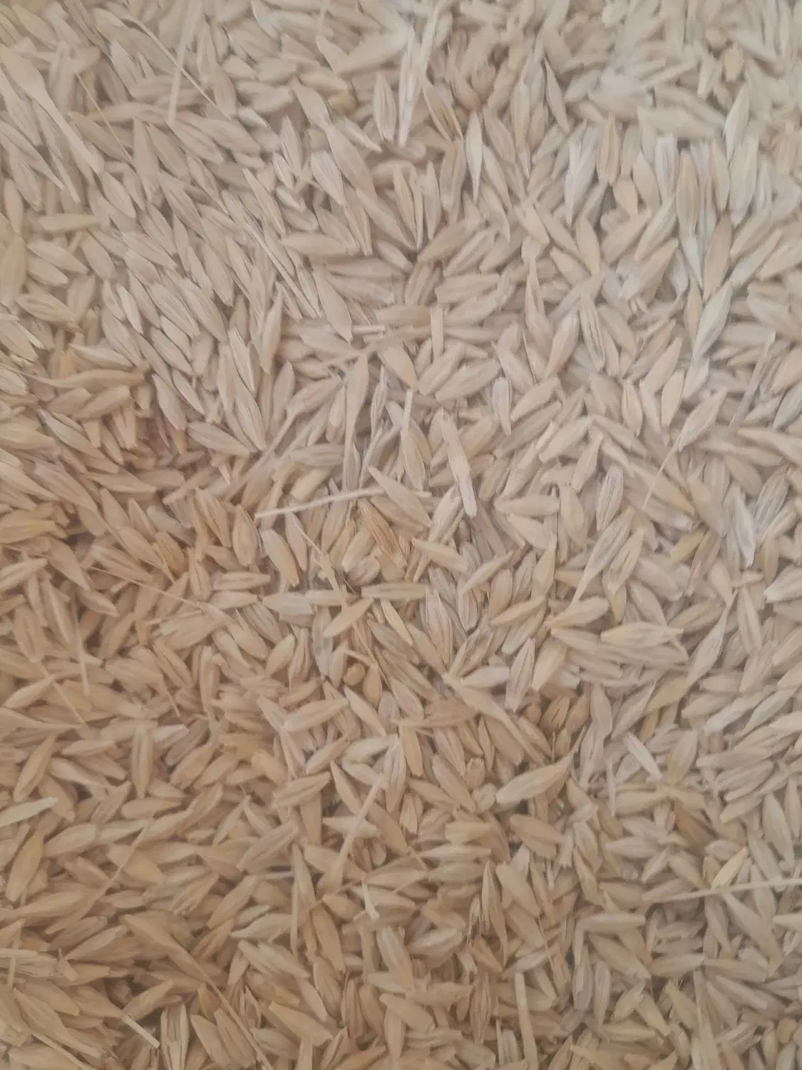 جو سرارود|عمدهفروشی|شیراز, داریون|دیوار