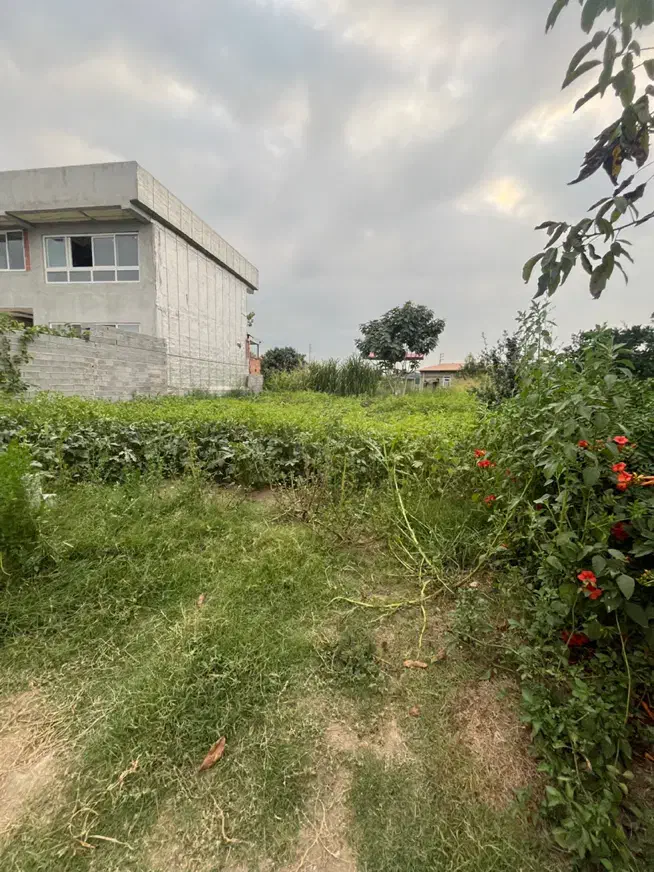 فروش زمین مسکونی روستای ۱۳۰ متری با مجوز ساخت|فروش زمین و ملک کلنگی|کیاکلا, |دیوار