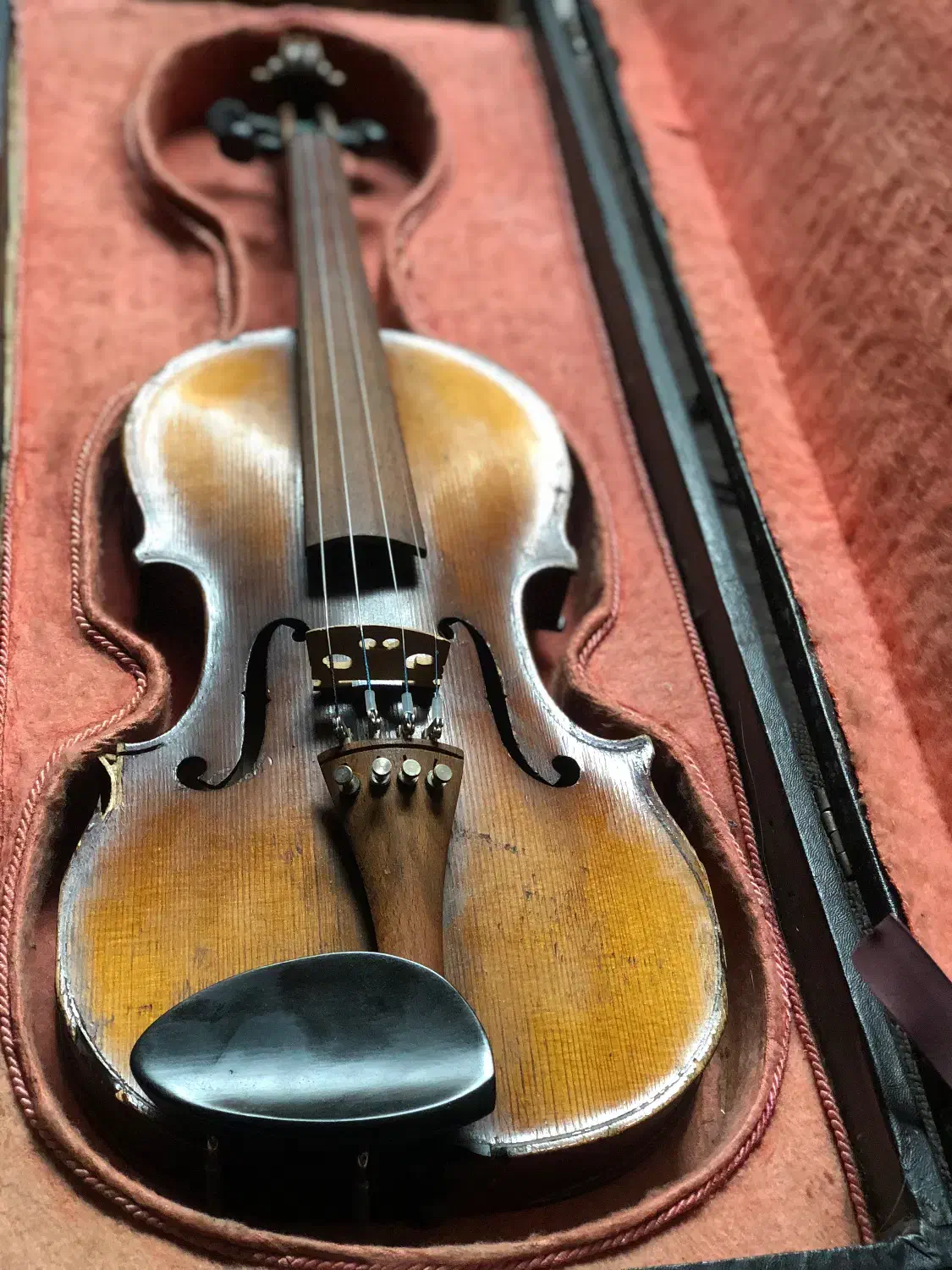 ویولن طرح استرادیواری|ویولن|تهران, فلسطین (میدان انقلاب)|دیوار