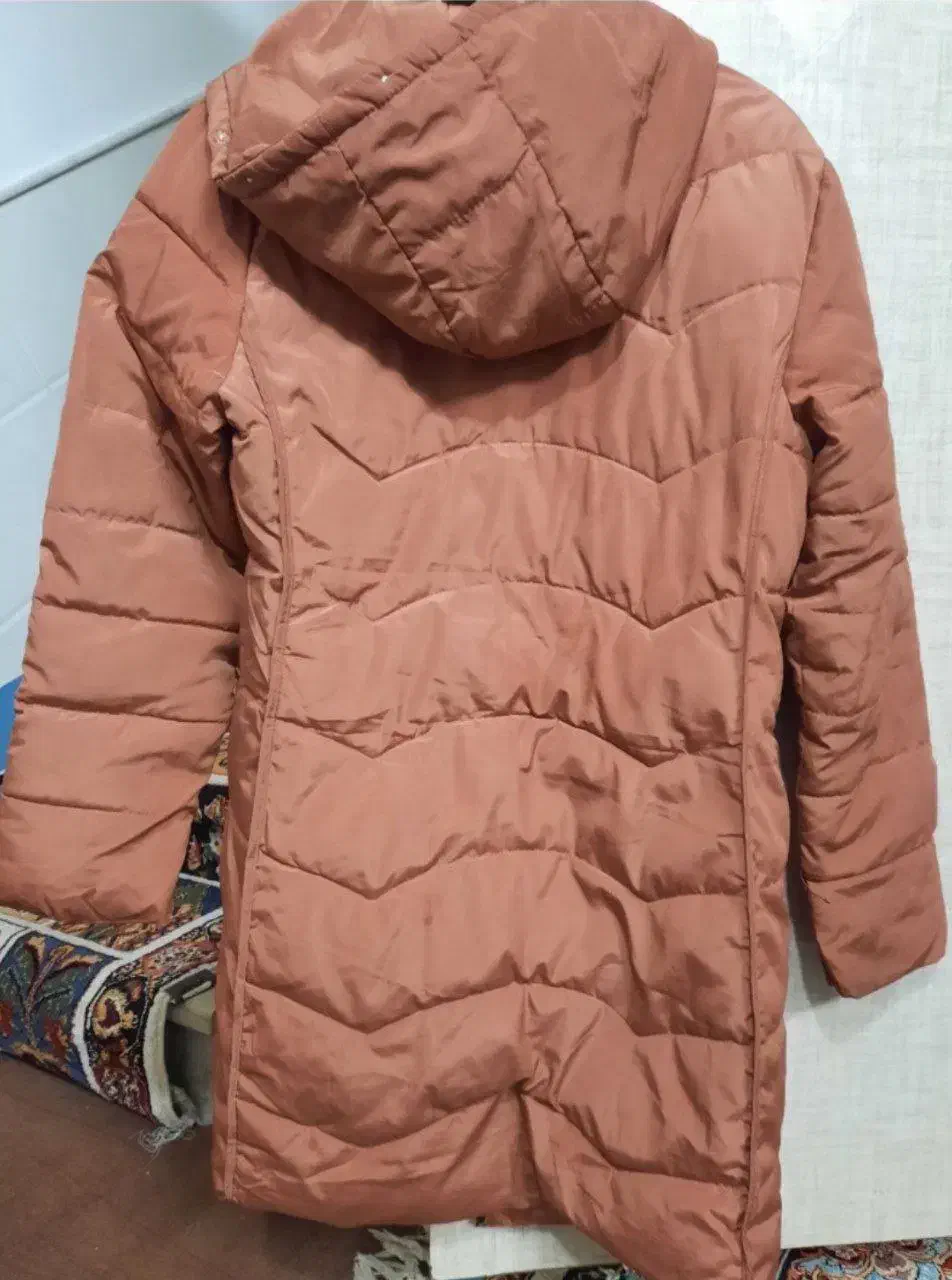 کاپشن دخترانه|لباس|قم, حکمت شمالی|دیوار