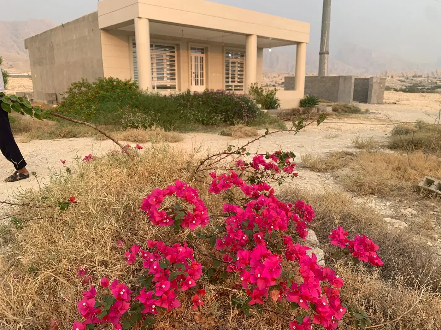 اجاره روزانه وشبانه خونه باغ با امکانات مبله|اجارهٔ کوتاه‌مدت ویلا و باغ|بندر دیر, |دیوار