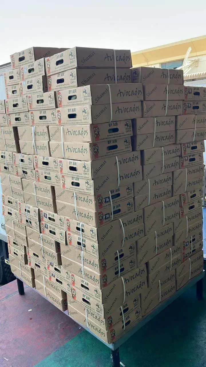 آووکادو عمده|عمده‌فروشی|جوادآباد, |دیوار