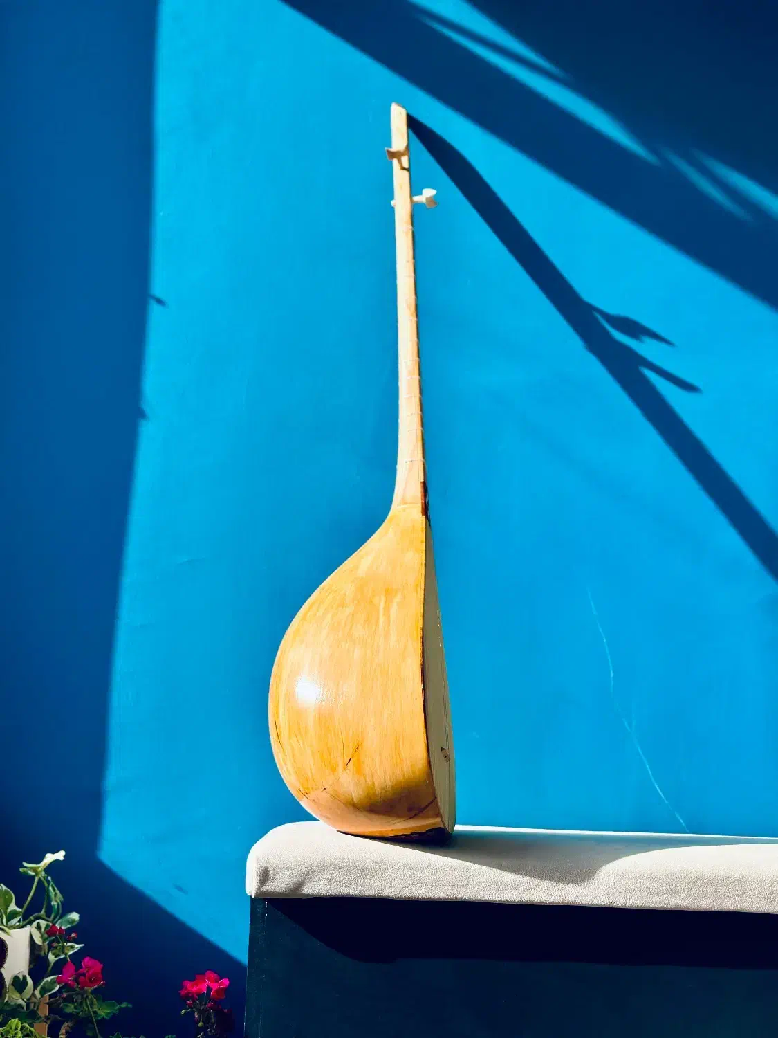 دوتار فروشی|سازهای سنتی|شیروان (خراسان), |دیوار