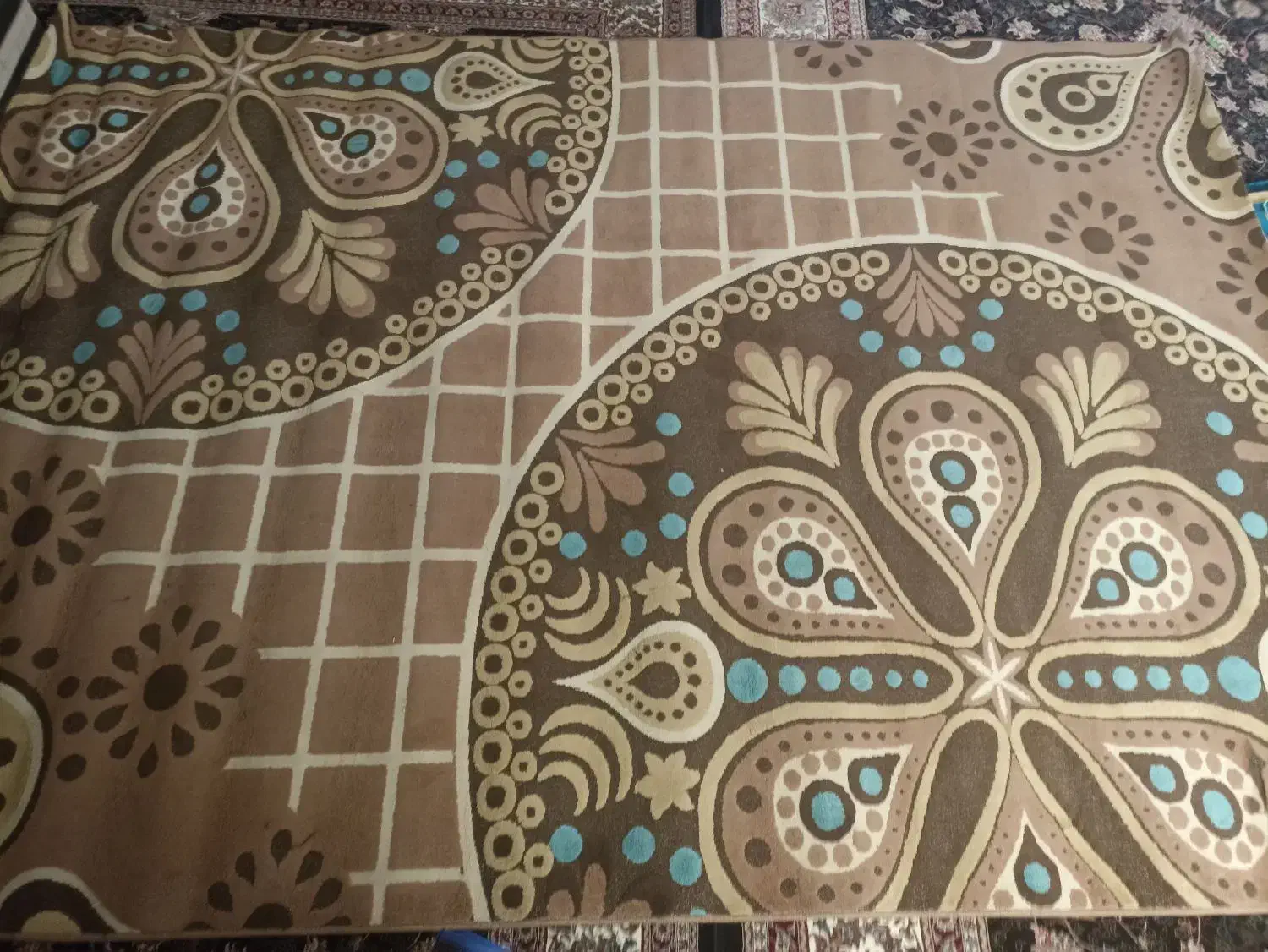 گلیم فرش|گلیم، جاجیم، گبه|بندرعباس, |دیوار