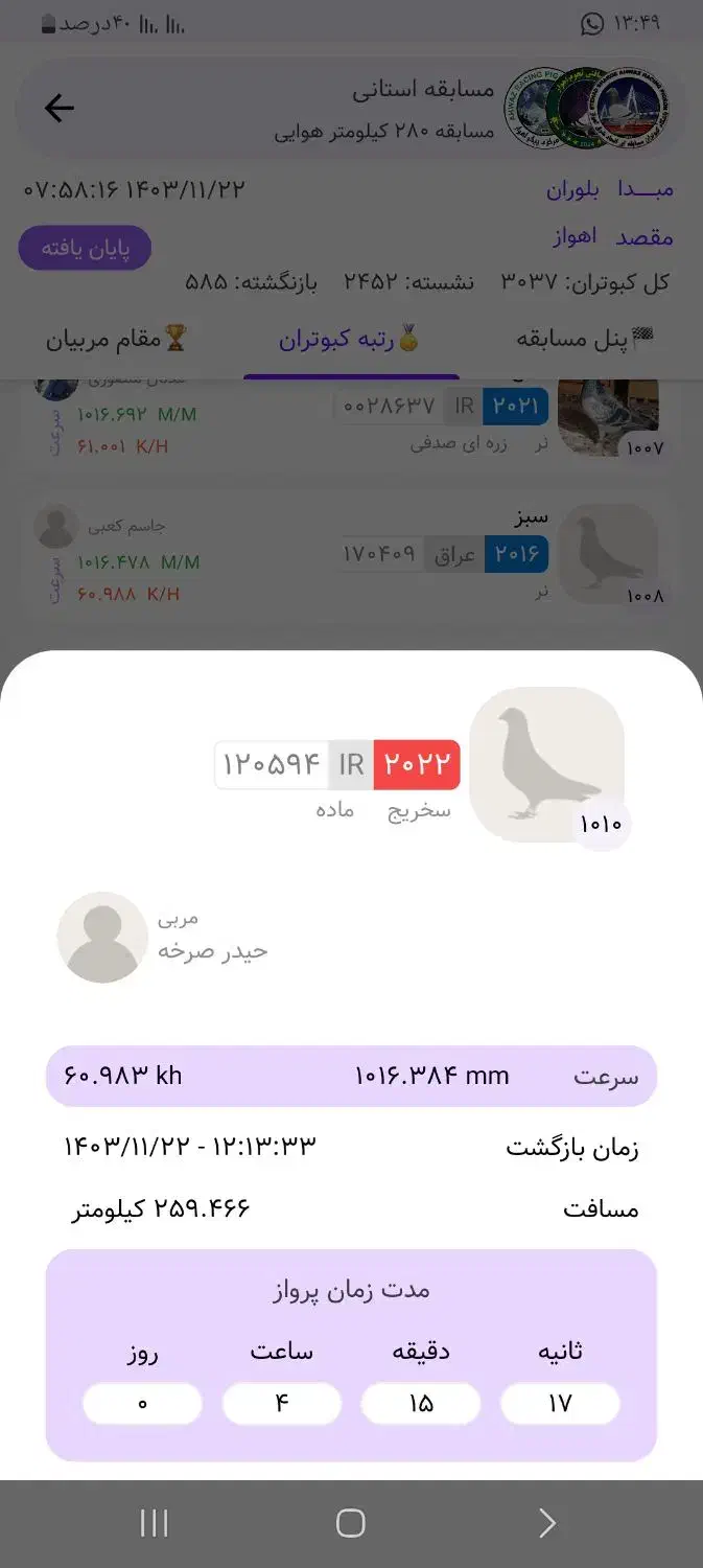 ماده پلاکی نشسته|پرنده|دشتابی, |دیوار