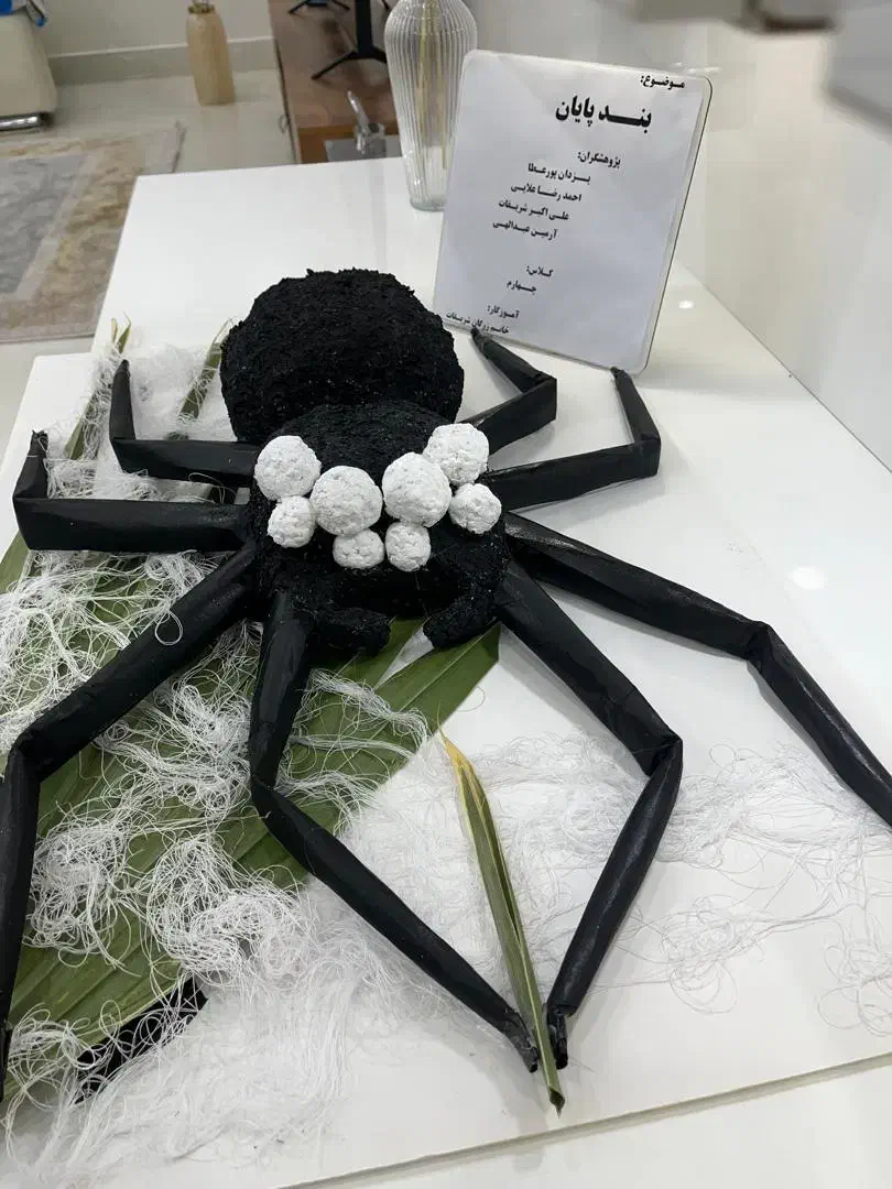 ساخت انواع کاردستی ، ماکت، گیفت ،طراحی و حتی نقاشی|صنایع دستی و سایر لوازم تزئینی|امیدیه, |دیوار