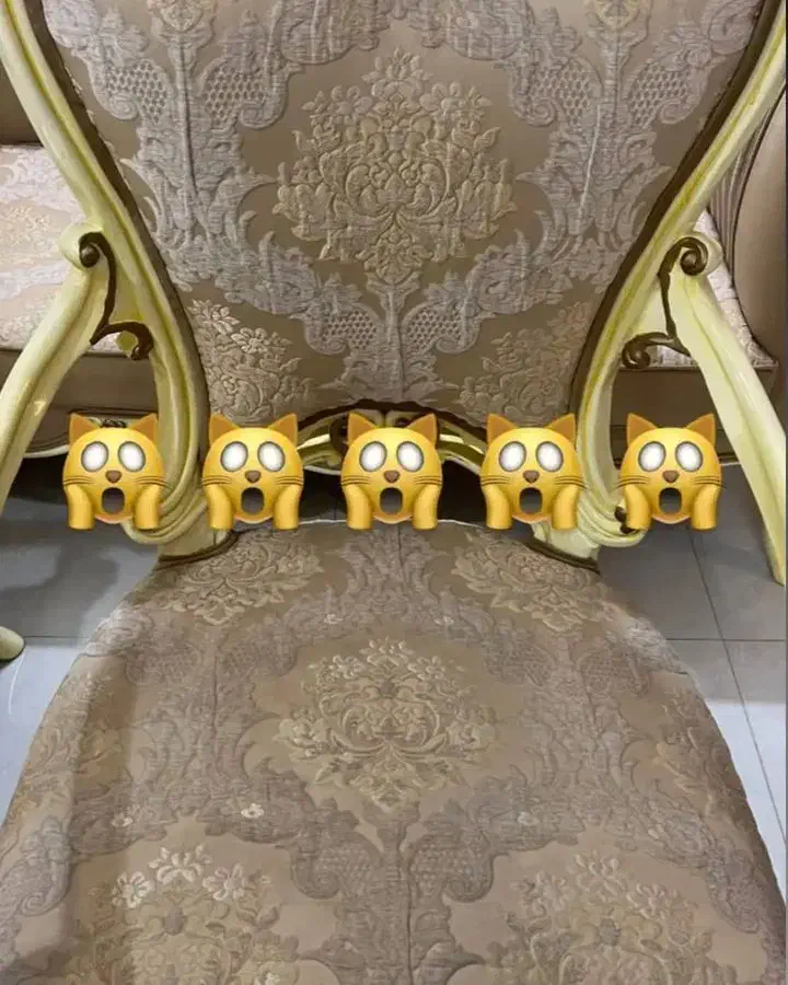 مبل شویی تک تضمینی باکیفیت صدرصدی|خدمات نظافت|نیشابور, شهرک بسیج|دیوار