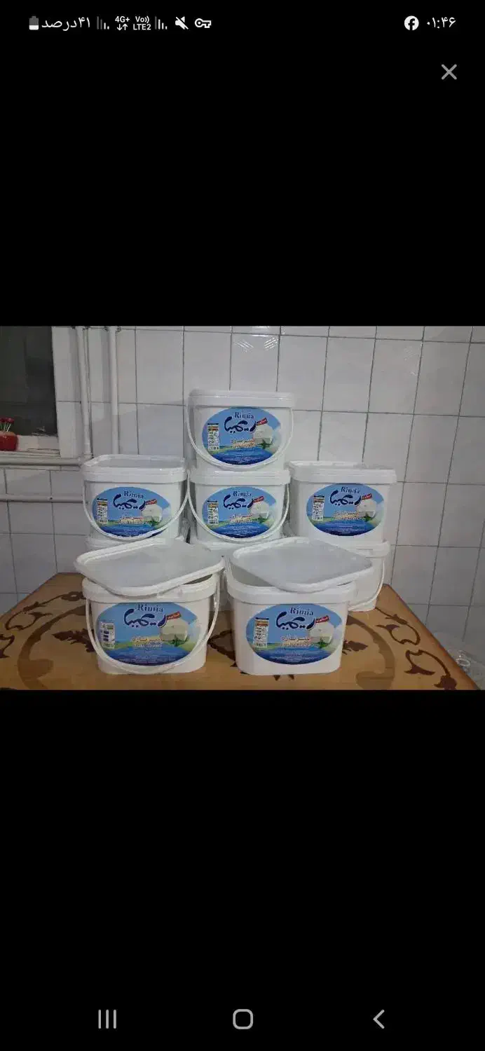 سطل ۱۰ کیلویی جای پنیر|ظروف نگهدارنده، پلاستیکی، یک‌بارمصرف|مریوان, |دیوار