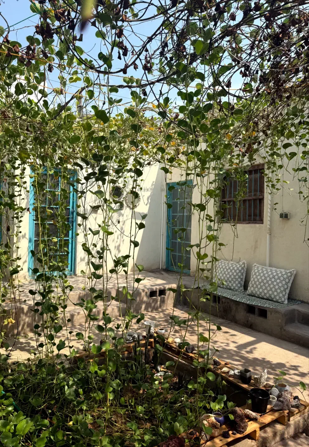 اجاره اتاق روزانه|اجارهٔ کوتاه‌مدت آپارتمان و سوئیت|هرمز, |دیوار