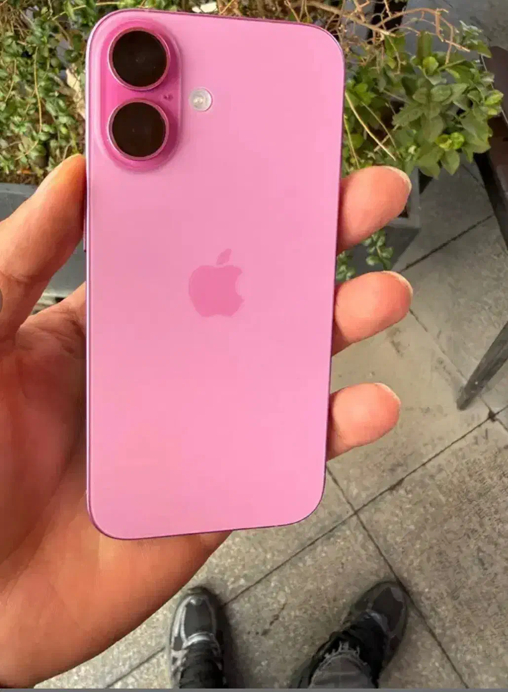 کوشی ۱۶ نرمال رنگ صورتی|موبایل|سراوان, |دیوار