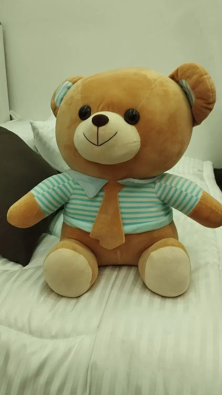 عروسک خرس|اسباب‌‌بازی|کرج, شهرک بنفشه|دیوار