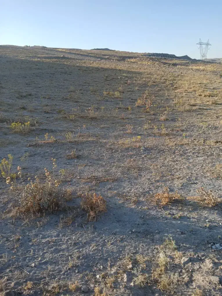 روستای ایرانق|فروش زمین و ملک کلنگی|بستان آباد, |دیوار