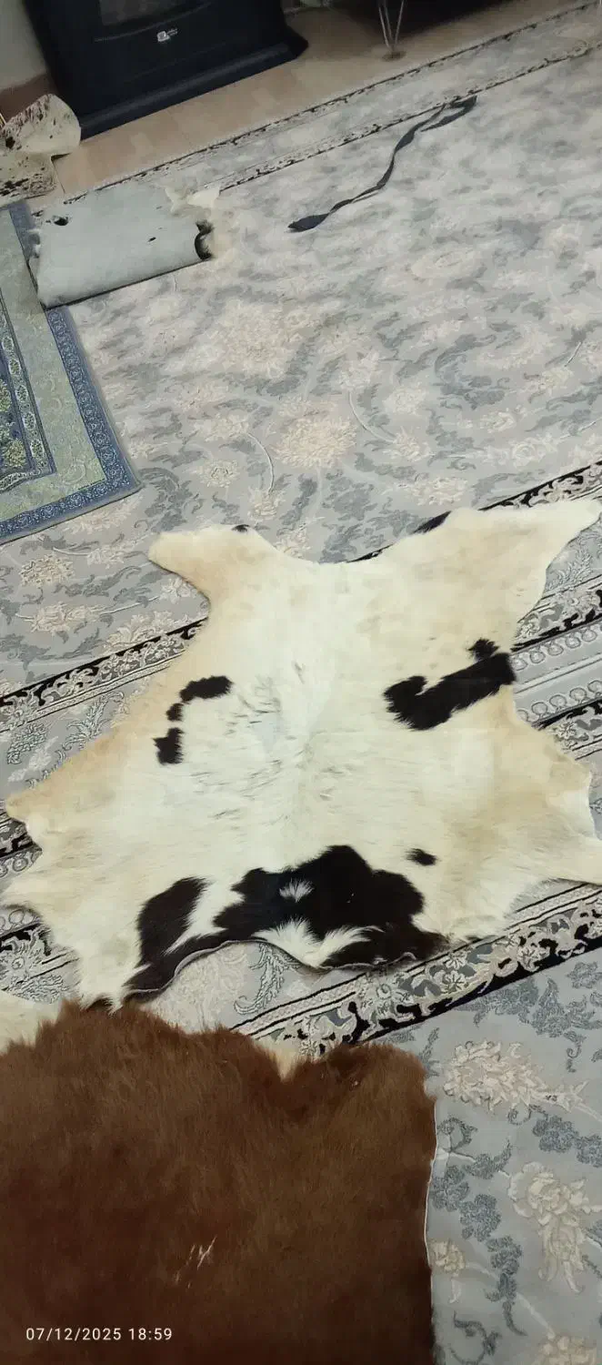 پوست تزیینی|صنایع دستی و سایر لوازم تزئینی|قرچک, میرزائی جنوبی|دیوار