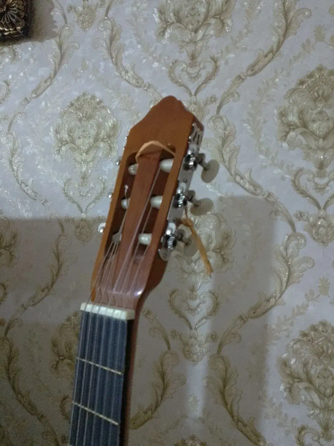 گیتار سفارشی  با پایه ی فلزی|گیتار، بیس، امپلیفایر|ایوان, |دیوار