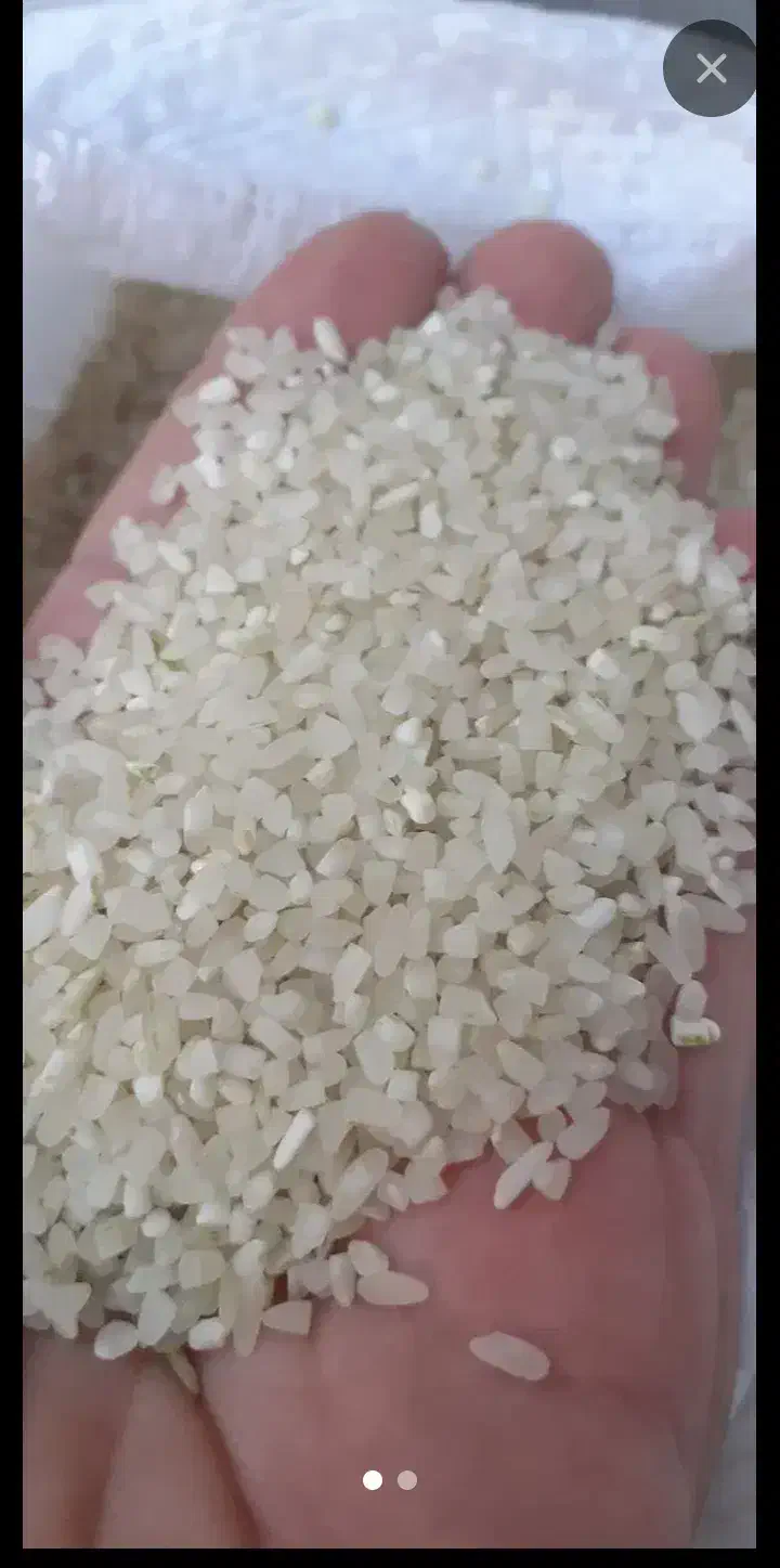 برنج ونیم دانه درجه یک کامفیروزی|خوردنی و آشامیدنی|بندر گناوه, |دیوار