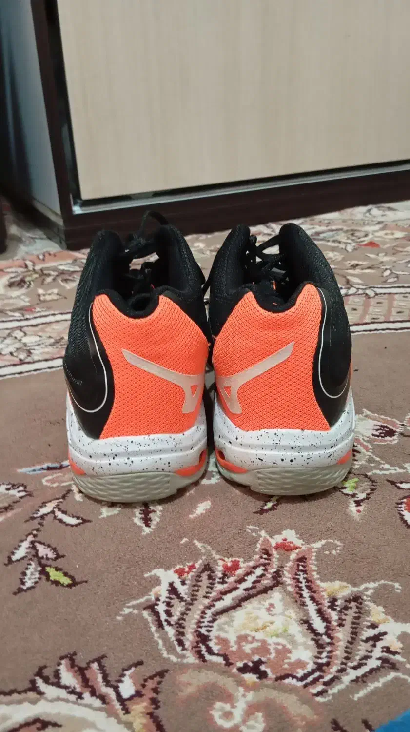 کفش والیبال اورج میزانو z6|کیف، کفش، کمربند|قم, شاه سید علی|دیوار