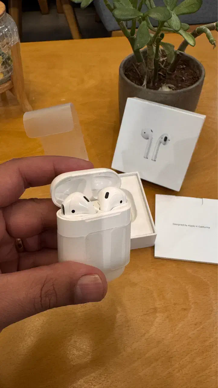 Airpod ایرپاد ۲ اصل اپل|لوازم جانبی موبایل و تبلت|شیراز, معالی‌آباد|دیوار