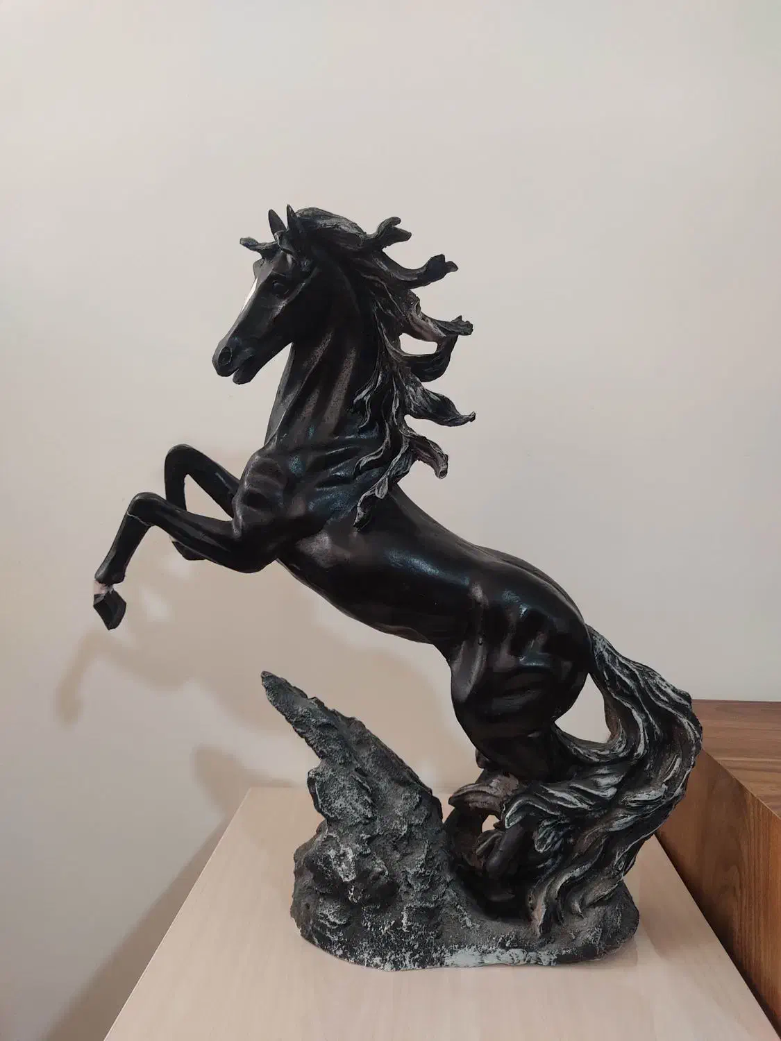 اسب|اسب و تجهیزات اسب‌سواری|مراغه, |دیوار