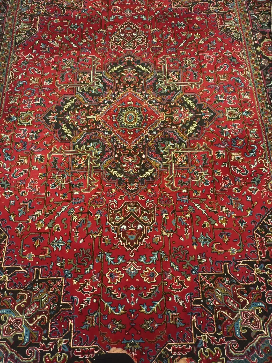 فروش فرش تمیز|فرش|انزل, |دیوار