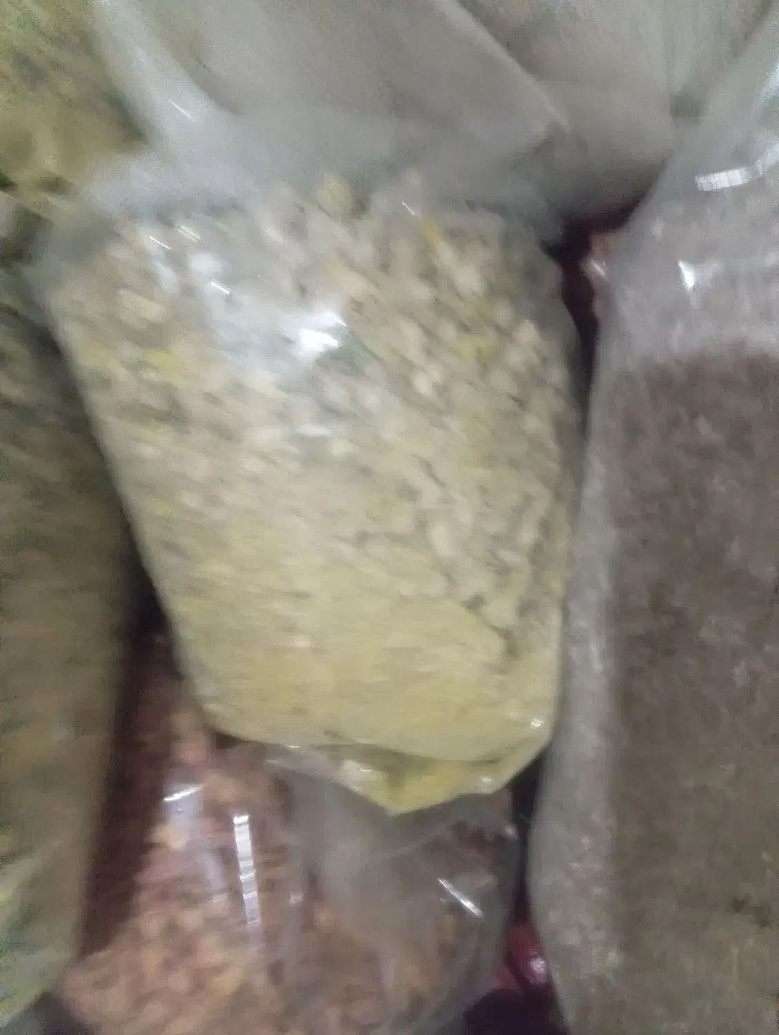 گل ختمی|گل و گیاه طبیعی|پاکدشت, شهرک انقلاب|دیوار