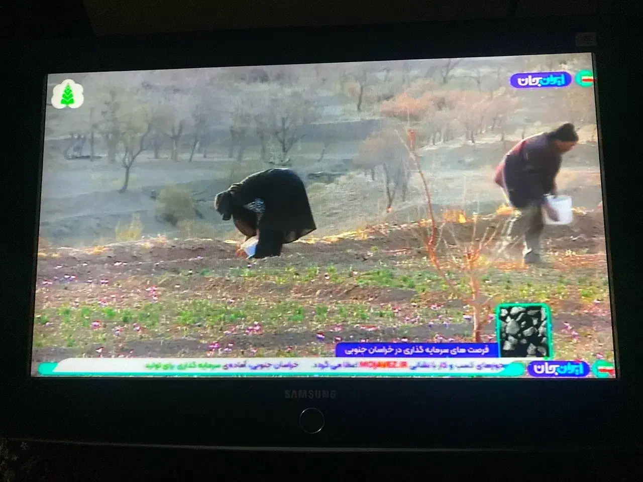 تلویزیون ۳۲ اینچ|تلویزیون و پروژکتور|گرگان, |دیوار