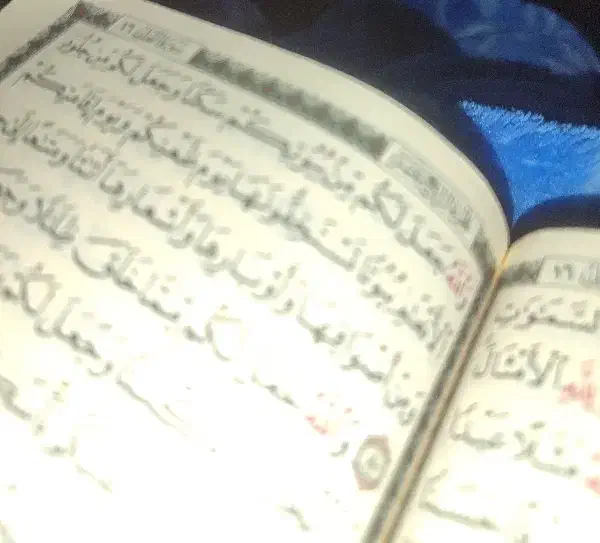 گوشی|موبایل|اهواز, کوی علوی|دیوار