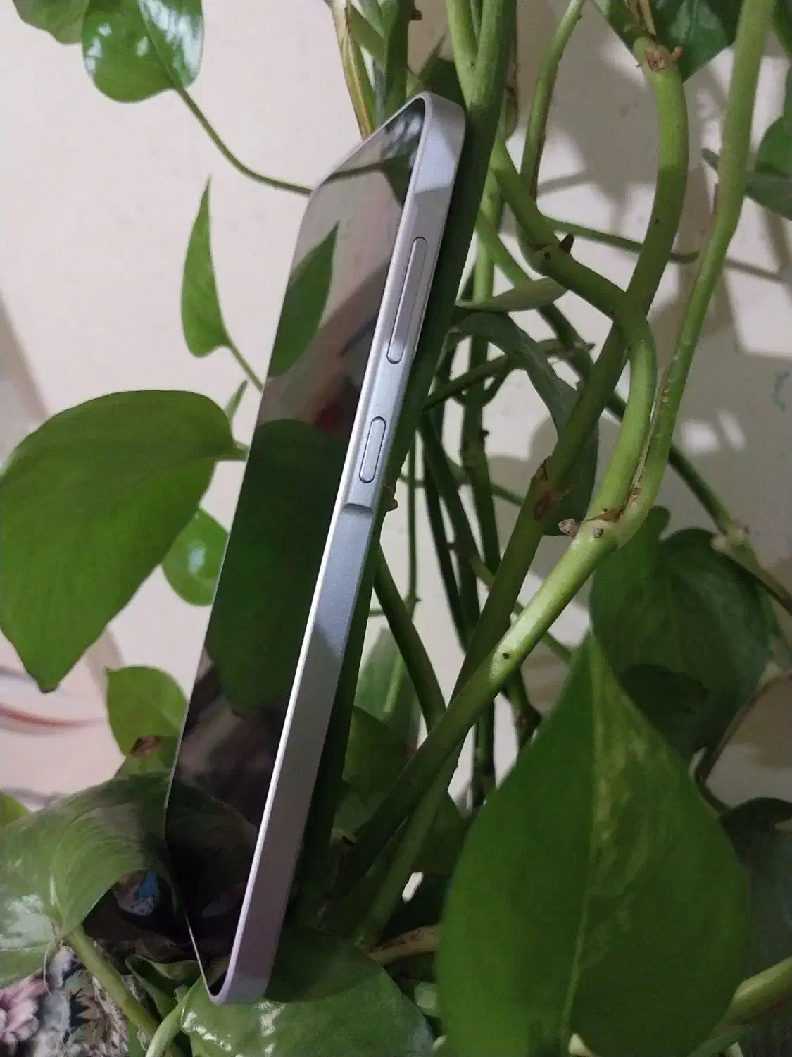 سامسونگ A36|موبایل|بجنورد, |دیوار