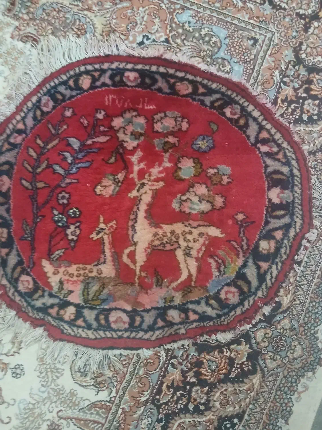 فرش دستباف|فرش|کرج, مطهری|دیوار