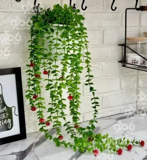 شمشاد|لوازم التحریر|مشهد, شهید آوینی|دیوار