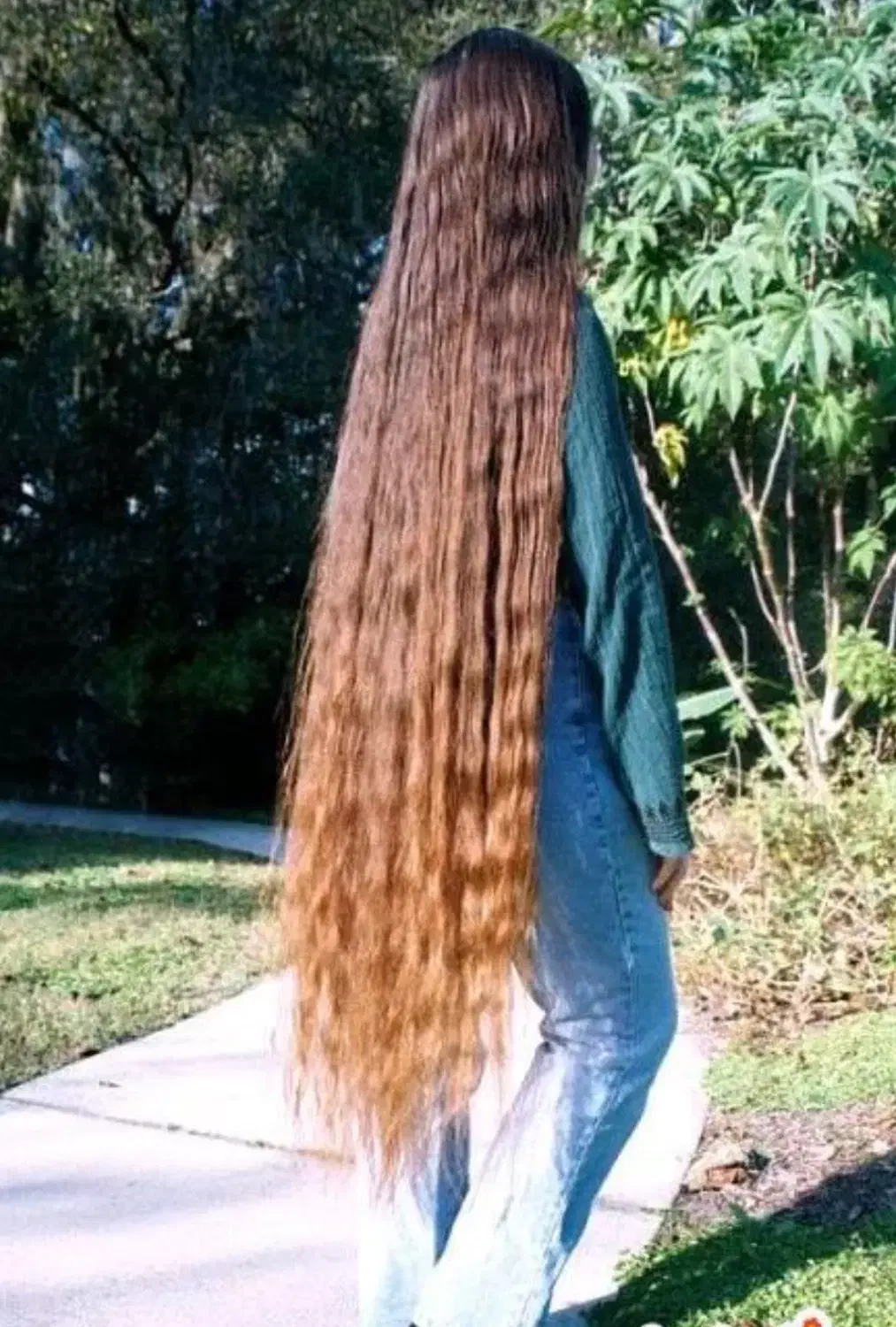 مرکز فروش و  خریدارمو به بالاترین قیمت|آرایشی، بهداشتی، درمانی|دزفول, |دیوار