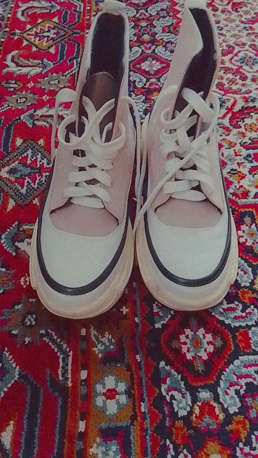 پوتین کفش|کیف، کفش، کمربند|نقده, |دیوار