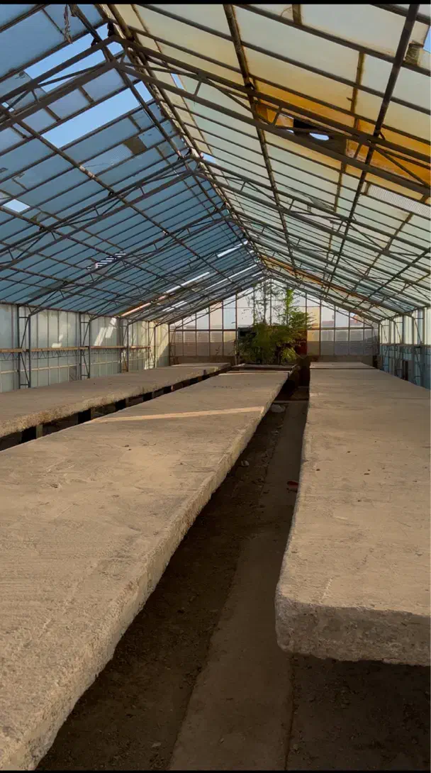 فروش گلخانه آلومنیومی|ماشینآلات صنعتی|ملارد, |دیوار