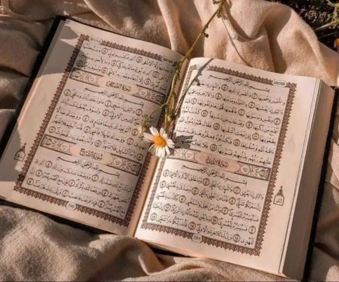 سرکتاب ودعا تضمینی|کتاب و مجله مذهبی|آزادشهر, |دیوار
