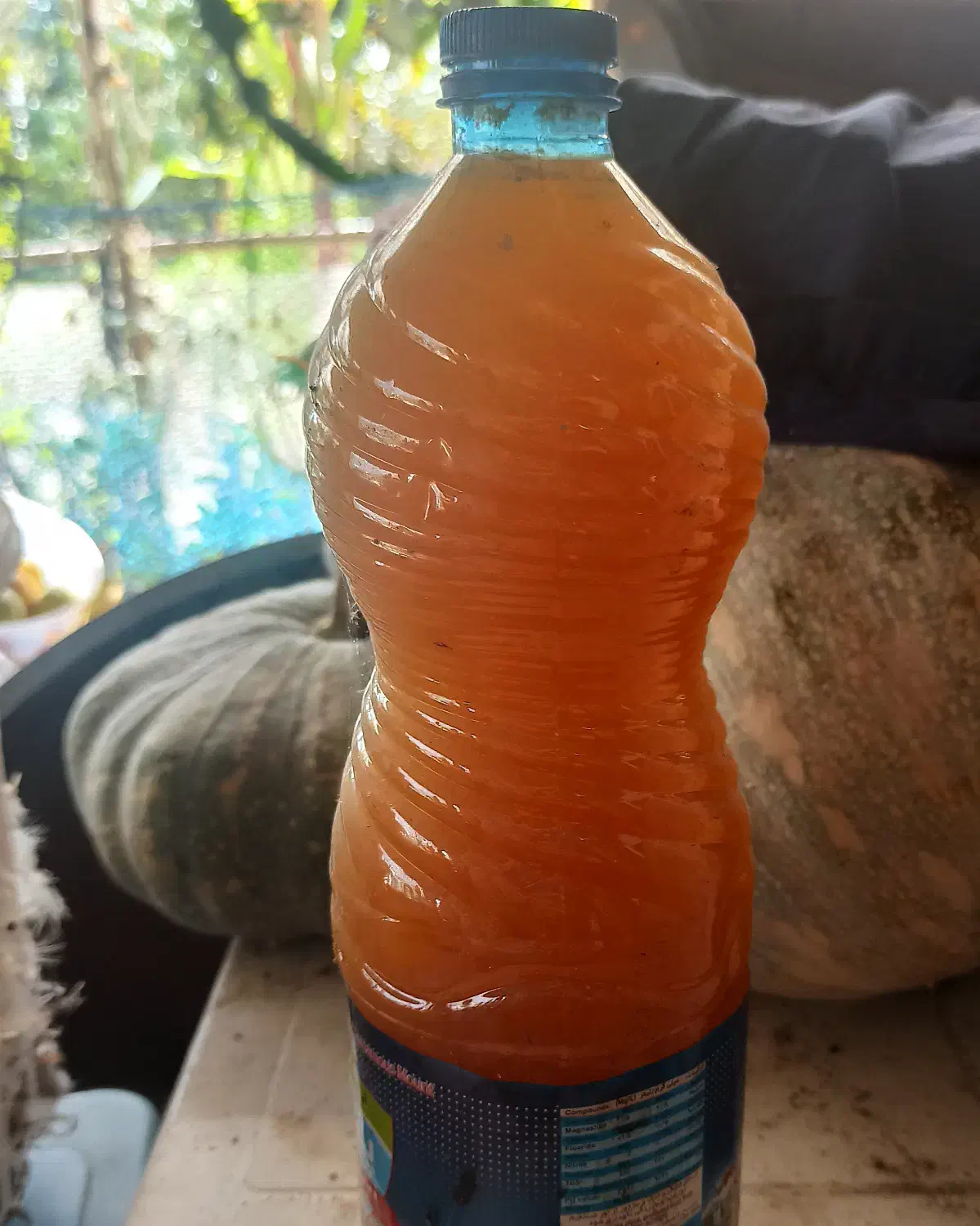 آبغوره امساله|خوردنی و آشامیدنی|رشت, یخسازی|دیوار