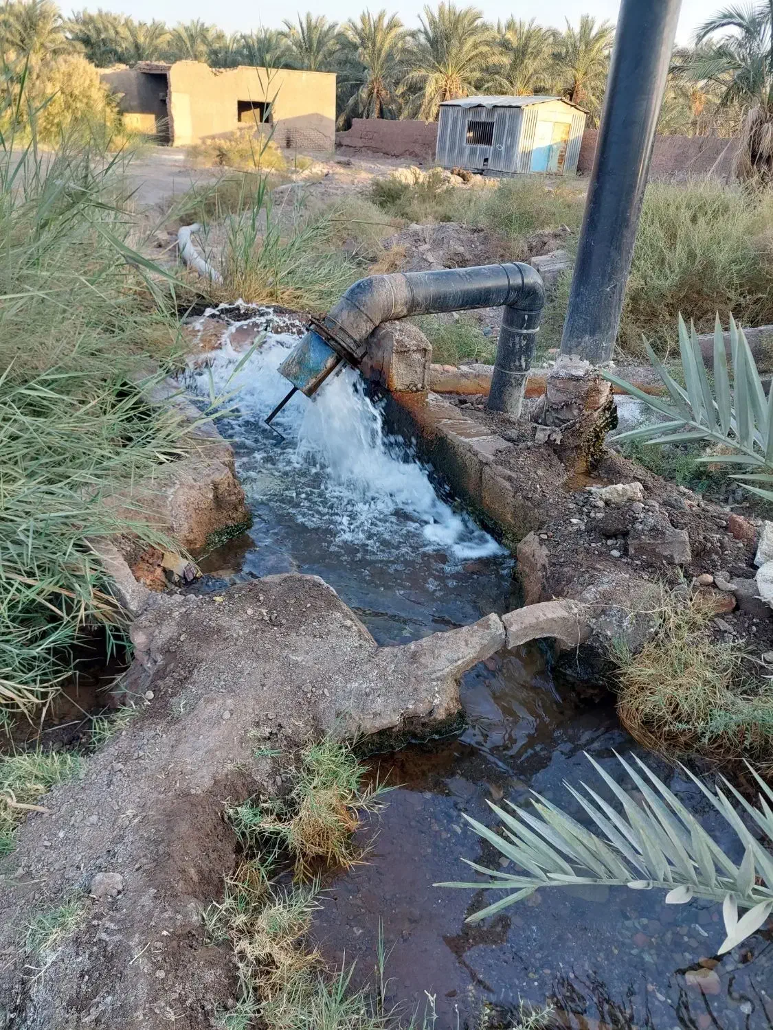 آب کشاورزی ازموتور|خدمات باغبانی و درختکاری|بم, |دیوار