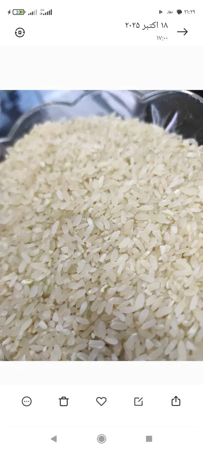 فروش برنج|خوردنی و آشامیدنی|شیراز, شهرک رضوان|دیوار
