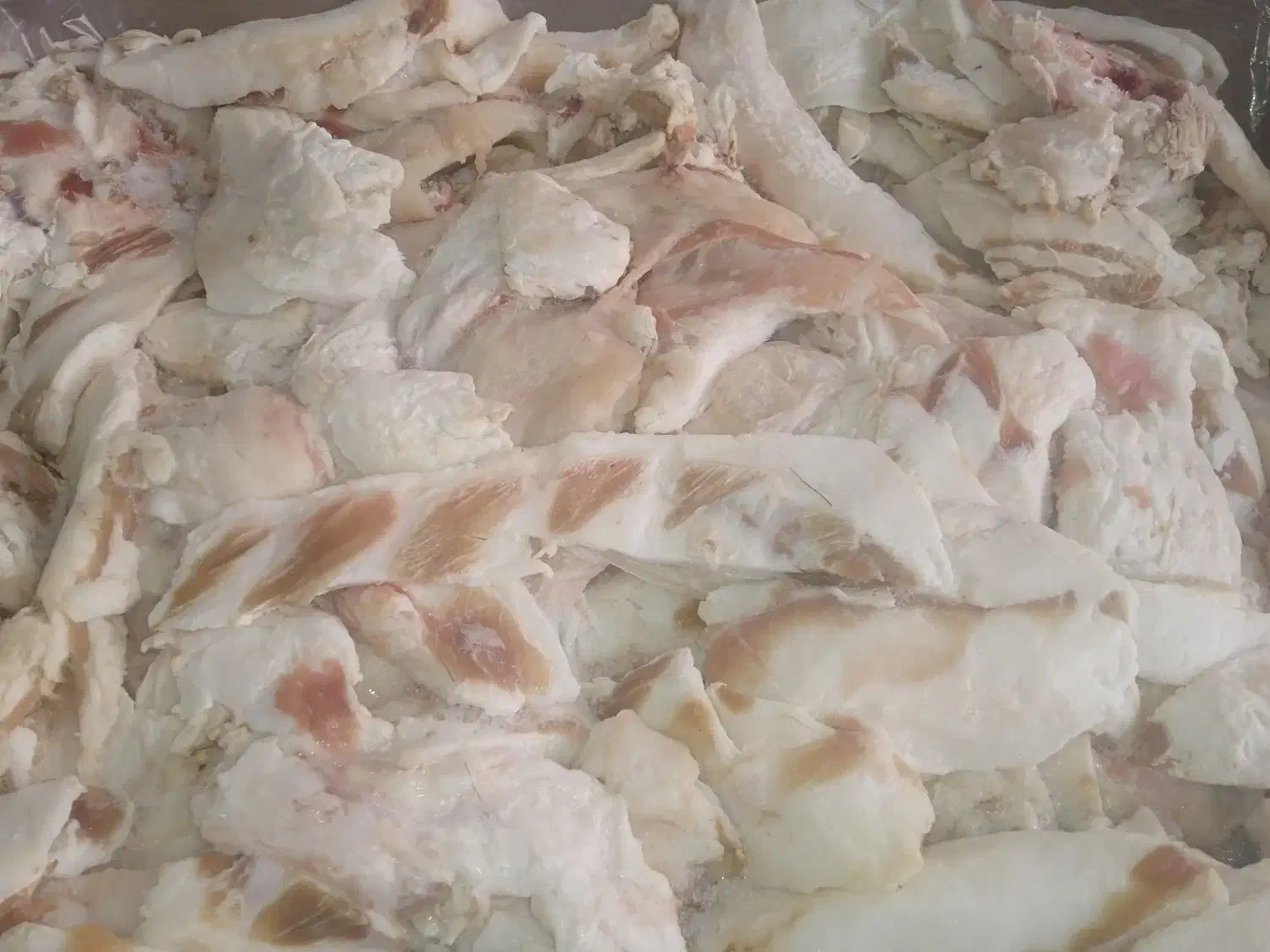 چربی بره|خوردنی و آشامیدنی|قم, امامزاده ابراهیم|دیوار