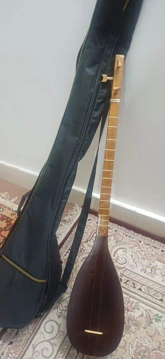 تنبور خوش صدا|سازهای سنتی|زنجان, |دیوار