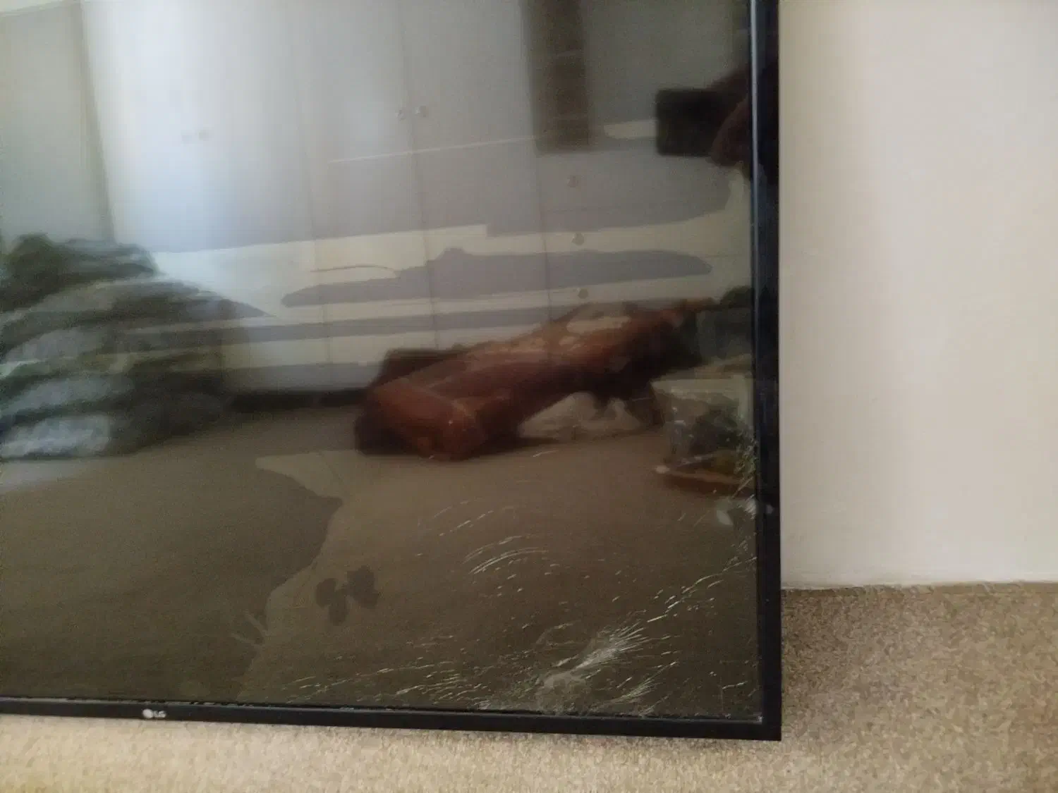 تلویزیون ال جی|تلویزیون و پروژکتور|پرند, فاز ۵|دیوار