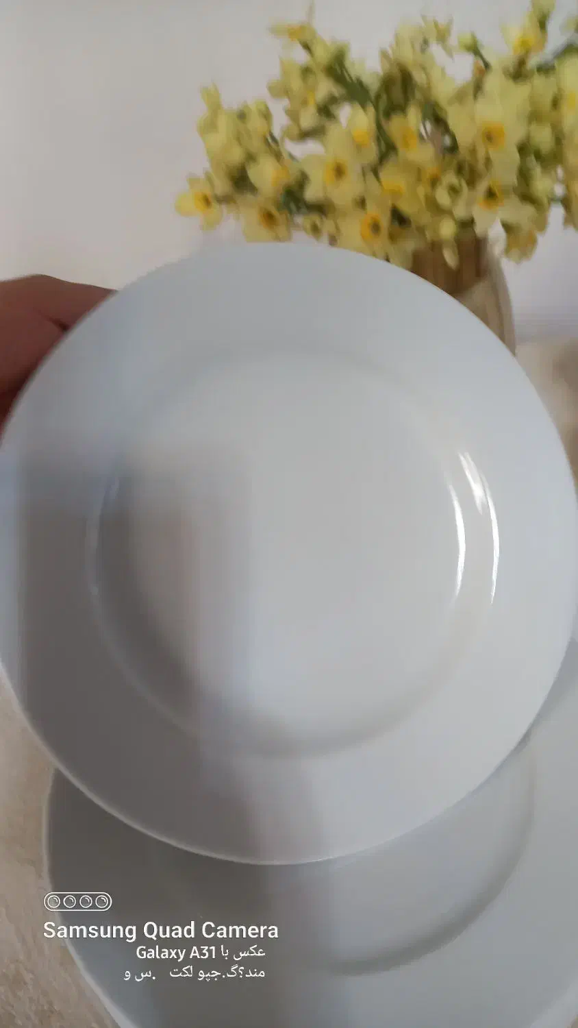 سرویس چینی|ظروف سرو و پذیرایی|رشت, کوی حسینی|دیوار