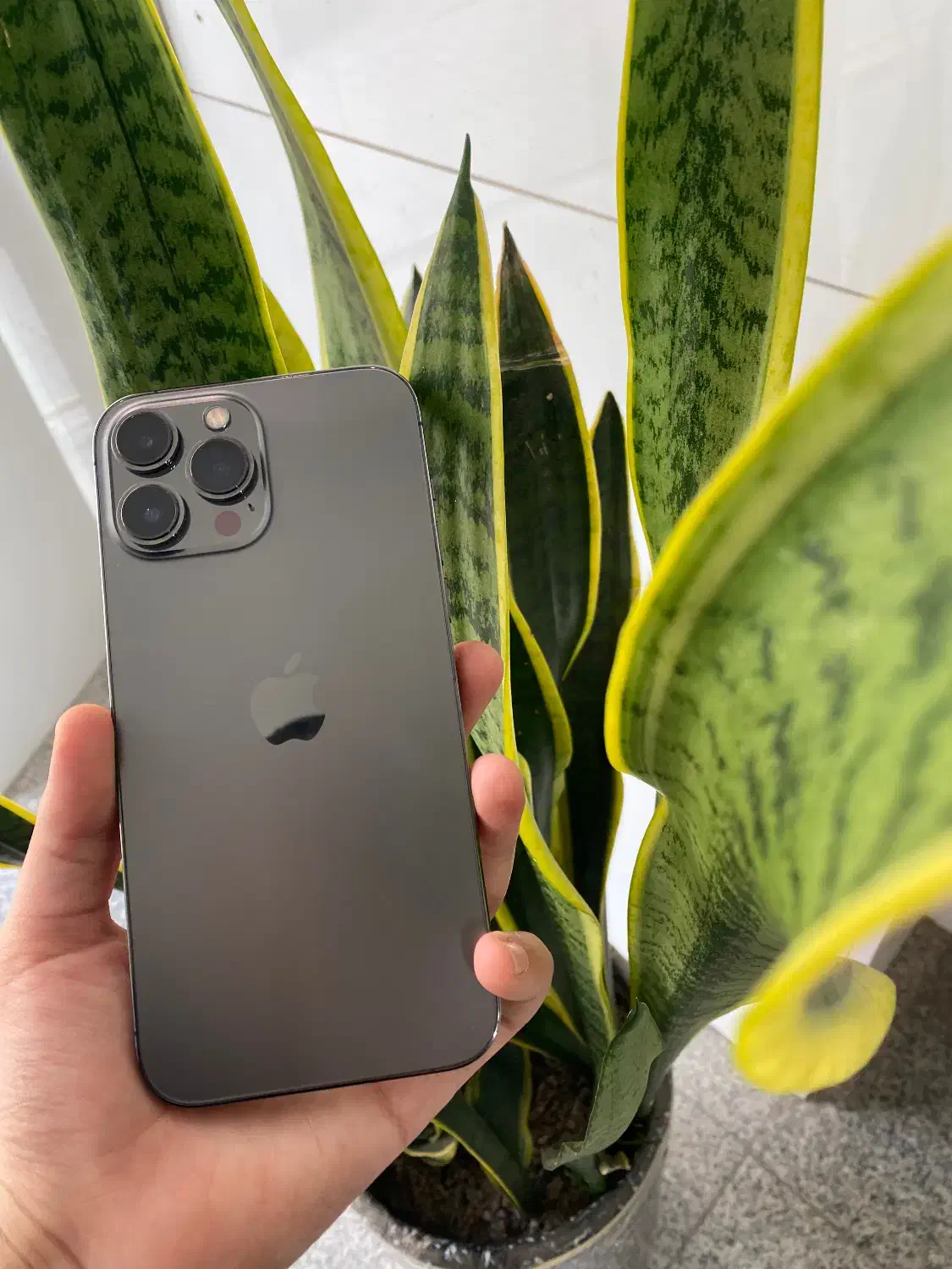 IPHONE 13Promax|موبایل|اردبیل, |دیوار